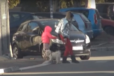 (VIDEO) OKRENUĆE VAM SE ŽELUDAC: Anabelin pas vršio nuždu na ulici, A ONA ŠUTIRALA IZMET!