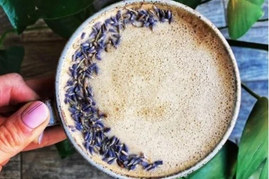 MESEČEVO MLEKO je najnoviji trend u ishrani i pravi je IZVOR ZDRAVLJA!