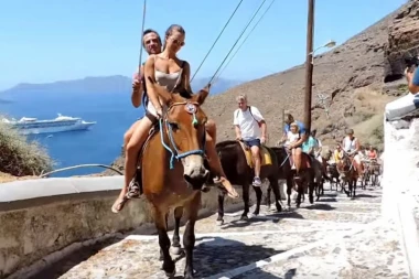 Grci digli vlast na noge zbog MUČENJA MAGARACA!