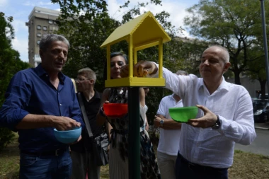 SRAMOTA! POLITIKA IM PREČA OD HUMANOSTI: Zbog vrabaca napali gradonačelnika