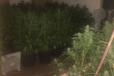 POLICIJA RASTURILA MREŽU DILERA IZ SRBIJE I BEČA: Uhapšeno ŠESTORO, otkrivene TRI LABORATORIJE!