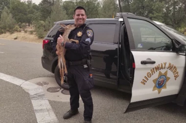 KALIFORNIJU GUTA POŽAR: OVE SLIKE OBIŠLE SU SVET!