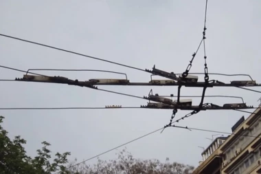 ZBOG UDESA NA SLAVIJI DANAS NE RADE TROLE I TRAMVAJI: Gradski prevoz će ovako funkcionisati!