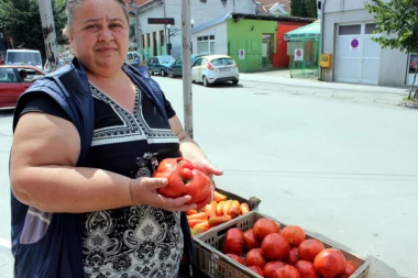 (FOTO) Hit u Srbiji - paradajz od 1.350 grama