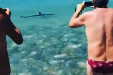 AJKULA U PLIĆAKU U "SRPSKOM" LETOVALIŠTU: Turisti zanemeli!