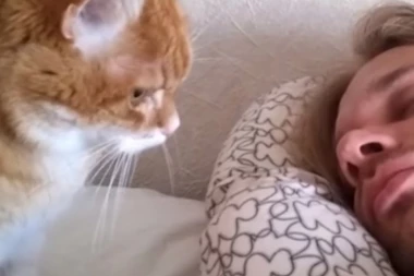 DOBRO JUTRO: Da li ste videli slađa buđenja?