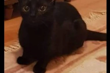 POMOZITE DA PRONAĐEMO BEBU: Nestala u Medakovićevoj ulici pre 2 dana!