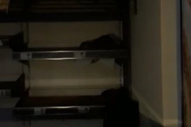 JEZIV PRIZOR IZ SPLITSKE PEKARE: Pacovi šetaju po policama, čak i ujedaju mušterije