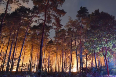 Opet gori Fruška Gora: Požar podmetnut, piroman poznat policiji