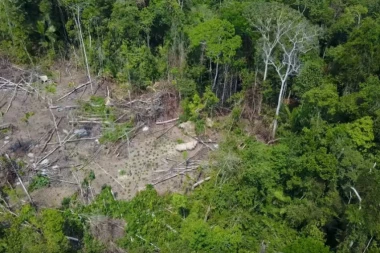 (VIDEO) Dron snimio potpuno IZOLOVANO AMAZONSKO PLEME!