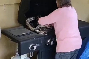 (VIDEO) NAJHRABRIJA BAKA (81) NA SVETU: Pogledajte kako se obračunava sa ZMIJAMA!