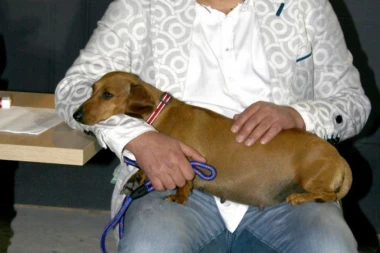 Ko grom iz vedra neba: Miki Đuričić postaje otac, beba stiže u avgustu!