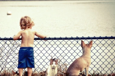 Dobro pripremite dete na SMRT LJUBIMCA