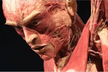 Izložba DOKTORA SMRTI ipak ostaje otvorena