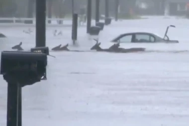 URAGAN FLORENS RAZORIO AMERIKU: Leševi na sve strane, aligatori hodaju po ulicama, NAJGORE TEK STIŽE!