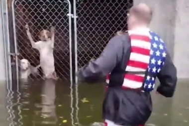 (VIDEO) DIRLJIVI SNIMAK: Kuce bile zarobljene i poplavljene, a onda je došao HEROJ!