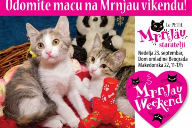 DOĐITE DA PREDEMO ZAJEDNO! UDOMITE MACU NA MRNJAU VIKENDU!