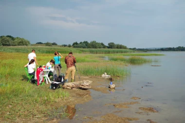 Labudovo brdo - stanica za ptice u toplije krajeve