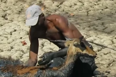 (VIDEO) DA TI STANE DAH: Rizikovao život zbog antilope!