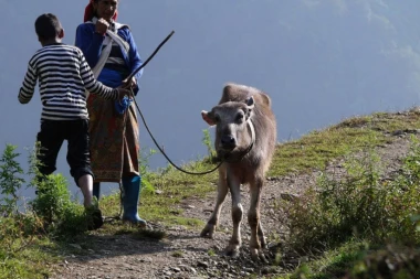 Ljudi sa Himalaja žive 100 GODINA: OVO SU 5 KLJUČNIH SASTOJAKA ZA DUGOVEČNOST