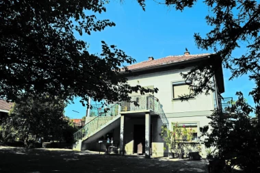 Porodična tragedija u prigradskom naselju Boleč: Sekirom ubio majku, pa vikao "Zovite policiju"