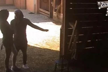 (VIDEO) Lazar: NEĆU NI LUNU NI MOSKVU!