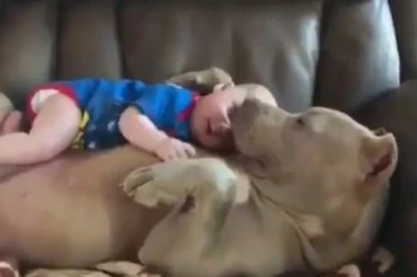 OD POČETKA NAJBOLJI PRIJATELJI: Ova scena će vas reznežiti!