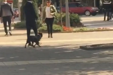 (UZNEMIRUJUĆ SADRŽAJ) STOP NASILJU NAD ŽIVOTINJAMA: Monstrum tuče psa u Šapcu!