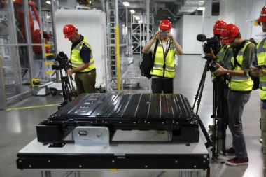 SKANDAL: Slovenac i Hrvat tuže Teslu jer im prete DEPORTACIJOM!