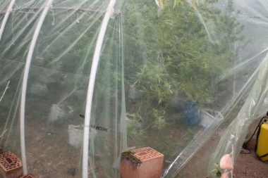 Svekar motkom napao snaju u bašti! Sin sprečio oca da mu ubije ženu!