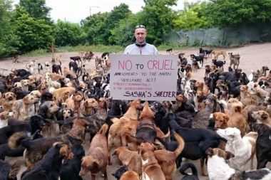 NIŠLIJA HEROJ SVIH LJUBITELJA ŽIVOTINJA: Saša brine o 800 pasa