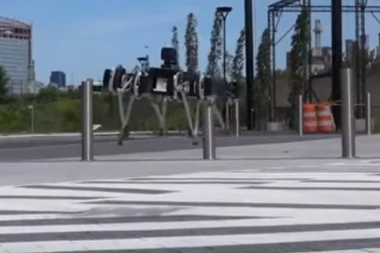 (VIDEO) IDEALNO REŠENJE ZA ŠPIJUNAŽU: Ovaj robot može neopaženo da uđe u svačiji dom, a pogledajte i zašto