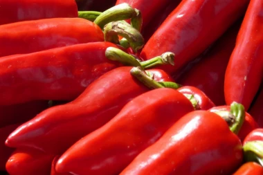 NIŠTA OD AJVARA: Cena paprike u Srbiji obara sve rekorde!