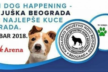 KINOLOŠKI HAPPENING ZA CELU PORODICU: Druženje dece i kuca ispred Štark arene