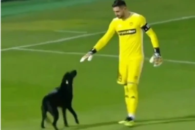 (VIDEO) Nezvani posetilac PREKINUO UTAKMICU!