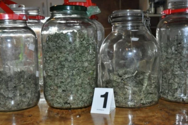 Policija otkrila pravo malo "dilersko" gazdinstvo u Somboru