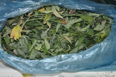 Na obali Bojane pronađeno 170 kila skanka: Crnogorska policija traga za dilerima