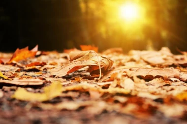 MIHOLJSKO LETO NA IZDISAJU: Stiže naglo zahlađenje, evo i kada