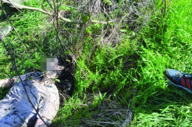 HOROR KOD KOCELJEVE! U šumi pronađeno telo žene u fazi raspadanja