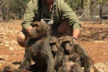NEZAPAMĆENI LOV NA DIVLJAČ: Pobio životinje u Africi, pa pozirao sa njima