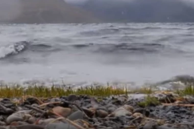 (VIDEO) Na Ekvadoru žive ptice samoubice koje se zakucavaju u jezero, a evo zašto ih meštani slave
