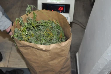 Uhapšen diler iz Beograda: Našli mu marihuanu u papirnim džakovima