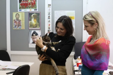 Istraživanje pokazalo: Evo zašto mačke više vole žene od muškaraca