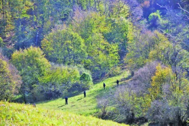 NASTAVLJEN UVIĐAJ U SELU RAVNA REKA: Privedeni otac i sin, ne zna se ko je pucao!