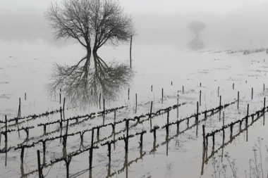 RUSIJA SE DAVI: Broj žrtava raste, više od pola miliona ljudi ugroženo!