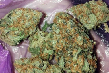 PAO DILER IZ NIŠA: Policija u stanu pronašla marihuanu i tablete bromazepama