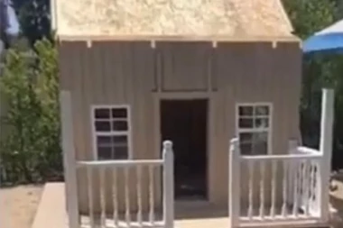 (VIDEO) PSI IZ VISOKOG DRUŠTVA: Kad budete videli kako izgleda kuća ovih ljubimaca neće vam biti dobro!