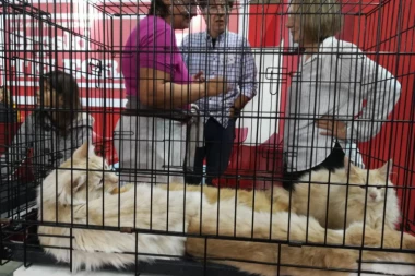 Najslađa izložba na Sajmu medija!