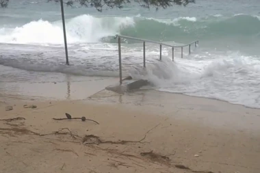 Jaka bura u Splitu: Vetar čupao drveće, jedna osoba nastradala