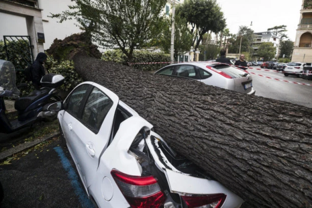 Stravična oluja u Apatinu, povređena devojka!